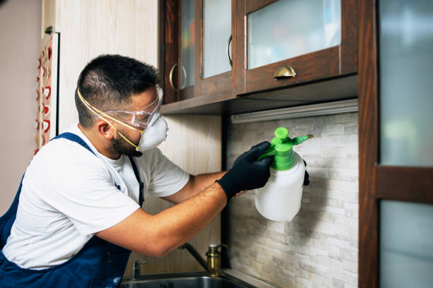Best Cockroach Control Services  in Gregory, TX