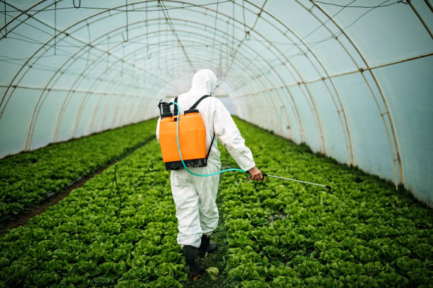 Best Mosquito Control Services  in Gregory, TX