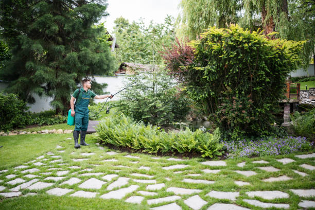 Best Pest Control Cost  in Gregory, TX