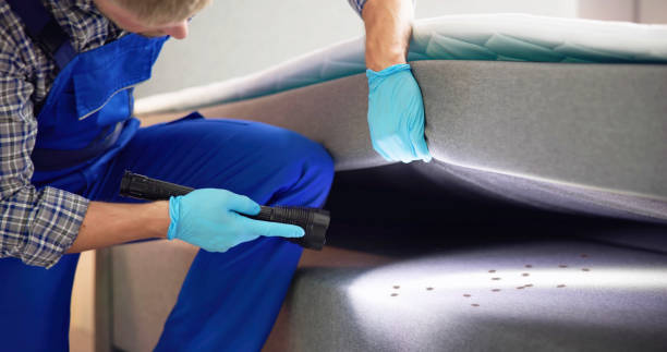 Wasp Removal Services in Gregory, TX