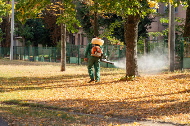 Best Pest Prevention Services  in Gregory, TX