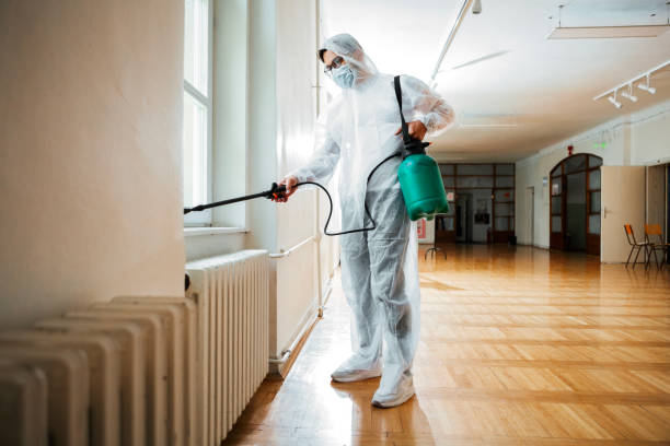 Best Local Pest Control Services  in Gregory, TX